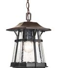 P5579-84 Progress Lighting Derby Light Inch Espresso Outdoor Hanging Lantern