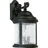 P5650-31 Progress Lighting Wall Sconces Outdoor 785247565023 P5650-31 Progress Lighting Wall Sconces Outdoor 785247565023