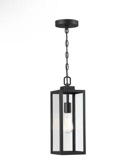 1jay-15171 Pia Ricco 1-light Outdoor Pendant Light Matte Black Clear Glass