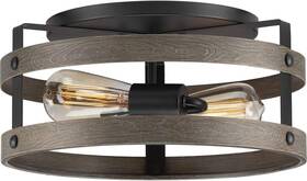 P350169-143 Progress Lighting Gulliver 2-light Flush Mount Ceiling Light In Grey