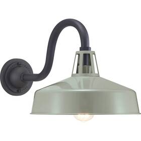 P560091-079 Progress Lighting Cedar Springs Collection 1-light Pistachio Farmhouse Outdoor
