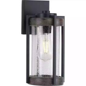 P560281-31m Progress Lighting Whitmire 1-light Matte Black With Aged Oak Accents Clear - A3