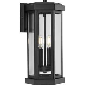 P560338-031 Progress Lighting P560338 Ramsey 2 Light 16 Inch Tall Wall Sconce - Black