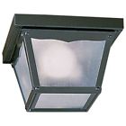 Q3080-7 Quorum International Flushmount Outdoor Ceiling Fixture With Mist 190808048110