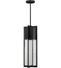 Rl-88580 Rla Hinkley Outdoor Pendant Light With Black Clear 657819070658