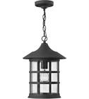 Rl-88583 Rla Hinkley Outdoor Pendant Light With Black Clear 657819073130