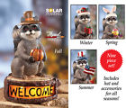 98562 Seasonal Collections Welcome 9-pc Raccoon Solar 98562 Seasonal Collections Welcome 9-pc Raccoon Solar