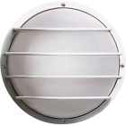 Sf77-861 Nuvo Lighting 77-861 White 045923778612