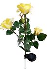 Slr-rsyl Solaration Solar Yellow Rose