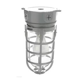 Southwire 445025220232 Industrial 1-light Gray Outdoor Weather Tight Flushmount Light Fixture