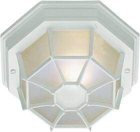 1000060824 Trans Globe Lighting Transglobe 9 Inch 1 Light Outdoor Flush Mount Ceiling Fixture - Free Shipping 1000060824 Trans Globe Lighting Transglobe 9 Inch 1 Light Outdoor Flush Mount Ceiling Fixture - Free Shipping