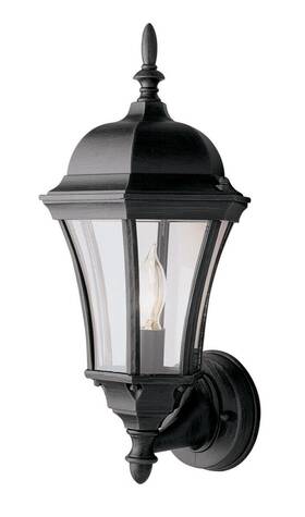 4502-bk Trans Globe Lighting Burlington Outdoor Wall Light Black