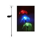 Unbranded Solar Powered Hummingbird Garden Stake Color Changing Led Lights Pair Set Of 2 875518005010