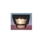 V9761-5 V9761 Volume Lighting Flush Mount Outdoor Ceiling Fixture With Clear