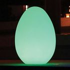 131776 Waterproof Led Light Color Egg - Access Genesis Main Changing