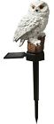 Wm4121014 Elegant Home Fashions White Solar Owl Stake Light 848687021792