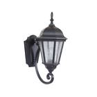 Z2950-11 Z2950 Craftmade Newberg Outdoor Sconce Seeded Glass 647881170318