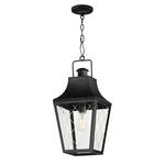 Black One Light Outdoor Pendant From The Storybook Collection. Fixed Price $224.00.