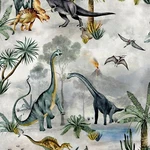 World Of Dinosaur Kingdom Decor Kids Multi Grey 7700. Fixed Price $27.12.