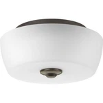 Close-to-ceiling Light 2 Modern Style 14 Inches Wide By 6.63. Fixed Price $71.95.