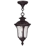 Livex Lighting Oxford Outdoor Chain Hang Bronze. Fixed Price $96.99.
