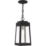 Livex Lighting 20854-04 Oslo 1 6.25 Inch Black Outdoor Pendant Lantern. Fixed Price $295.96.