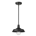 Acclaim Burry Light Exterior Conv Pendant, Black/seedy Globe - 1736BK. Fixed Price $130.00.