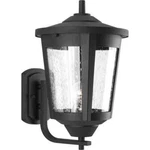 Progress Lighting East Haven Black Seeded Glass Outdoor Wall Lantern. Fixed Price $85.99.