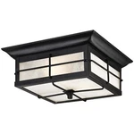 Westinghouse 6204800 Orwell Two-light Outdoor Flush-mount Fixture, Textured B.... Fixed Price $71.58.