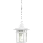 Nuvo Lighting 60/4954 Cove Neck 1 7 Inch White Outdoor Hanging Lantern. Fixed Price $91.99.