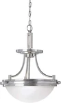 Sea Gull Lighting 77660-962 Winnetka Two-light Semi-flush Convertible Pendant Ha. Fixed Price $129.99.