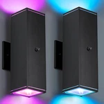 Futxnziey Outdoor Wall Lights Pack Rgbcw Exterior Lighting SCONCE2700K-6500K. Fixed Price $122.96.