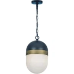Crystorama CAP-8507-MK-TG Capsule Outdoor Pendant Chandeller. Fixed Price $198.40.