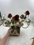 Portfolio WB4230 Floral Rose Light Wall Sconce Fixture Shabby Chic Garden. Fixed Price $88.76.