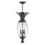 Hinkley Lighting 4 Plantation Outdoor Hanging, Museum Black - 2122MB. Fixed Price $1099.00.