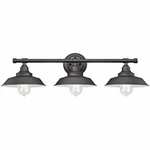 Westinghouse 6343400 Iron Hill Three-light Wall Fixture,oil Rubbed Bronze Finish. Fixed Price $125.32.