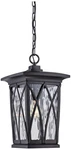 Quoizel Grover 17 1/2"H Mystic Black Outdoor Hanging Light. Fixed Price $450.99.