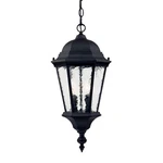 Acclaim Lighting 5516 Black Telfair 2-LIGHT 20"H Outdoor Pendant. Fixed Price $112.00.