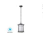 Oil Rubbed Bronze Outdoor Integrated Led Hanging Pendant Light. Fixed Price $55.00.