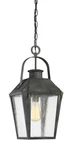 Quoizel CRG1910 Carriage Light 10"W Outdoor Lantern Style - Black. Fixed Price $359.99.