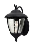 Sea Gull Lighting 1-LIGHT Outdoor Lantern 84070-12. Fixed Price $79.99.