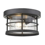 Z-lite Exterior Additions 1 Light Outdoor, Black, Clear Seedy 555F-BK. Fixed Price $110.50.