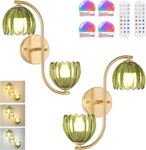 Battery Op Wall Sconce 2-LIGHTS Vinatge Brass Lighting Up & Down Tulip Shad. Fixed Price $50.14.