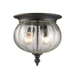 Z-lite Belmont Outdoor Flush Mount Light, Black, Clear Seedy 516F-BK. Fixed Price $119.00.