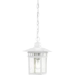 Nuvo Cove Neck Light 12" Outdoor Hang W/ Clear Seed Glass, White 60-4954. Fixed Price $91.99.