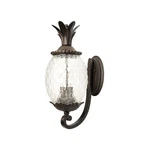 Used Acclaim Lighting 7511BC Lanai - Three Outdoor Wall Mount 10 Inches. Fixed Price $240.00.