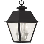 Livex Lighting 2167 Black Mansfield Outdoor Pendant With 2-LIGHTS. Fixed Price $429.96.