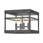 Hinkley Lighting 4 Porter Outdoor Ceiling, Aged Zinc - 2803DZ. Fixed Price $449.00.