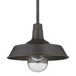Acclaim Lighting 1736 Bronze Burry Single 10"W Pendant. Fixed Price $104.00.