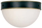 Capsule 12" Wide Matte Black And Gold Outdoor Ceiling Light. Fixed Price $218.00.